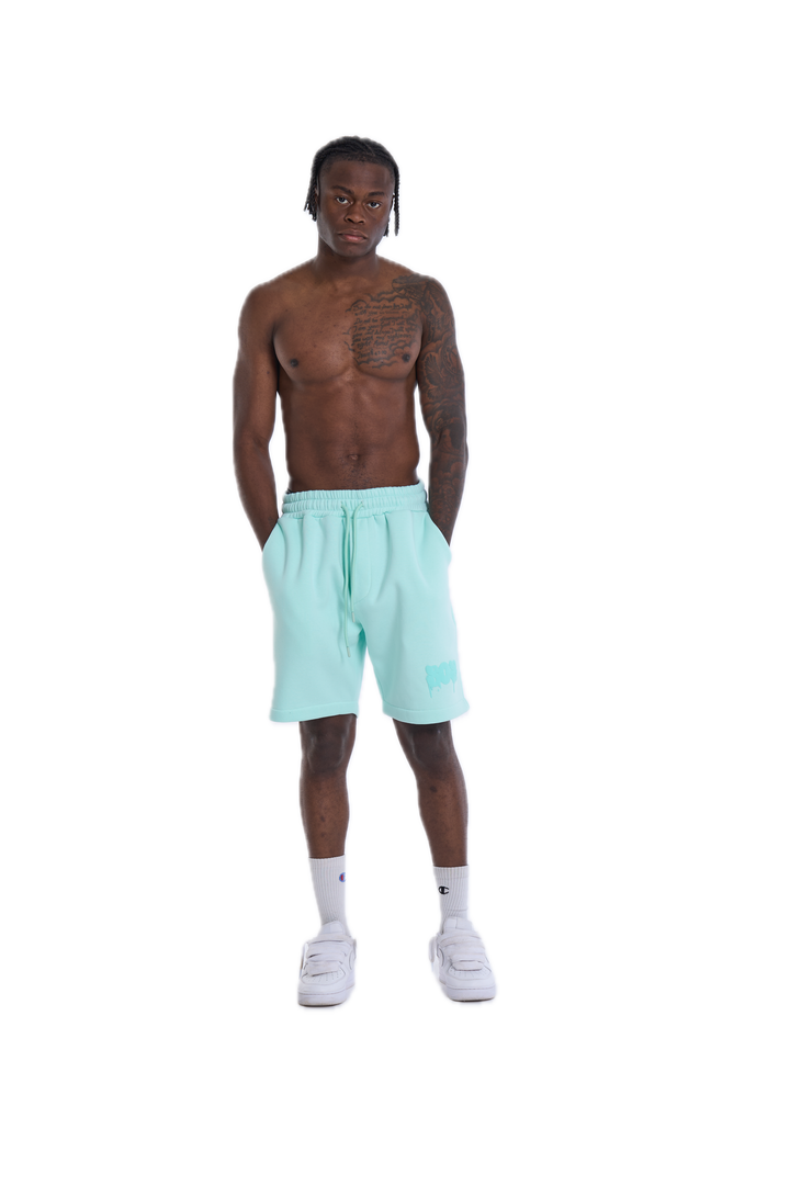 LEGACY SHORTS MINT