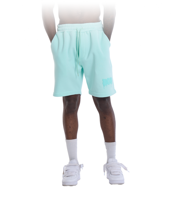 LEGACY SHORTS MINT